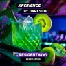 Табак для кальяна DARKSIDE Xperience RESIDENT KIWI 30 г