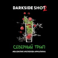 Табак для кальяна DarkSide SHOT Северный трип 30 г
