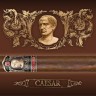 Сигара Bossner CAESAR Special and Limited Edition