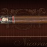 Сигара Bossner CAESAR Special and Limited Edition