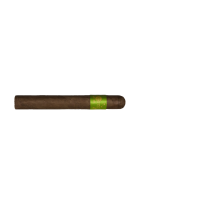 Сигара PRINCIPLE CIGARS Accomplice Maduro Green Band Robusto