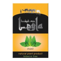 Табак для кальяна Leyla Mint