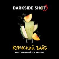 Табак для кальяна DarkSide SHOT A Куршский вайб 30 г