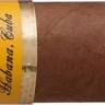 Сигара COHIBA Siglo I (15)