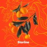 Табак для кальяна Starline Восточный Цитрус 25 г