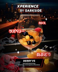 Табак для кальяна DARKSIDE Xperience Berry Vs 120 г