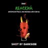 Табак для кальяна DarkSide SHOT A Ленский трип 30 г