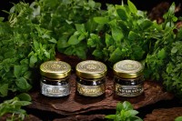 Табак для кальяна WTO NICARAGUA Зеленый базилик 20 гр