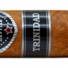 Сигара DAVTIAN Trirnidad Robusto Gordo