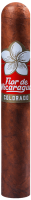 Сигара Joya de Nicaragua FLOR DE NICARAGUA Robusto
