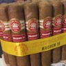 Сигара H.UPMANN Magnum 54 (10)