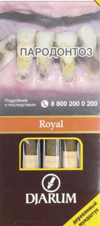 Сигариллы DJARUM Royal Wood Tip